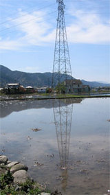 9c1cf6b6.jpg