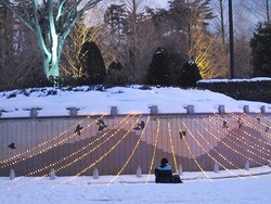 IMG_6815
