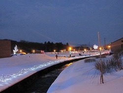 IMG_6817