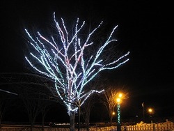 IMG_6851