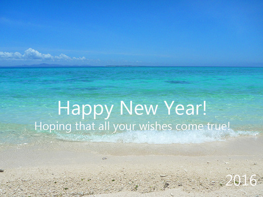 2016年 Happy New Year!