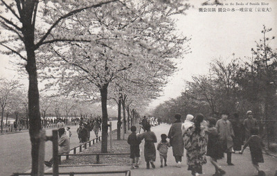 東京唯一水の公園 隅田公園