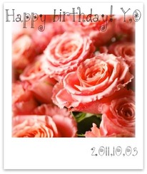 pink_roses