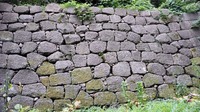 IMG_20150813_153059