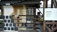 IMG_20150813_154254