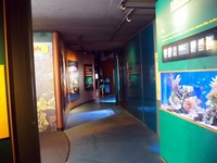 P7232745
