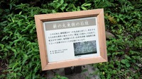 IMG_20150813_153102