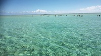 IMG_20150725_095402