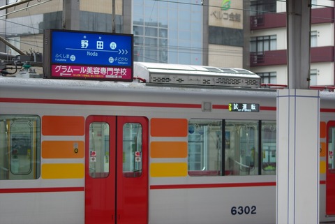 IMGP5884_s