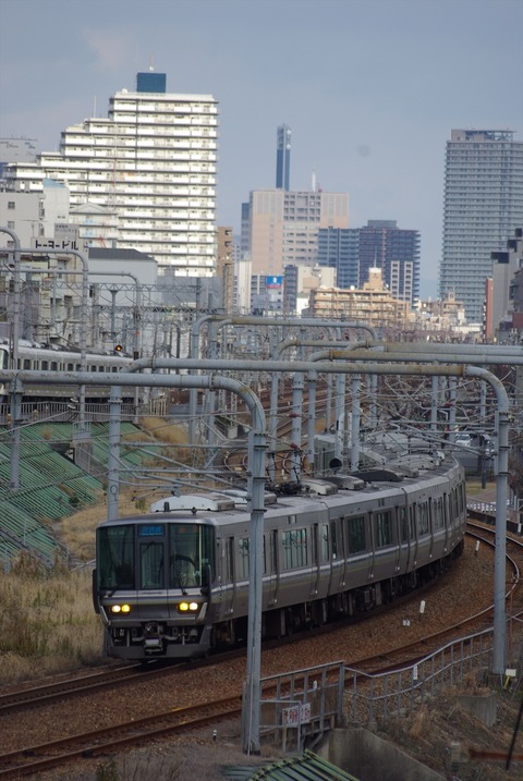 IMGP4493_s