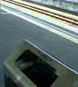 572c67e9.jpg