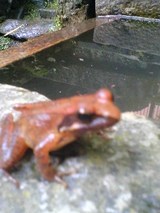 c753f7c8.jpg