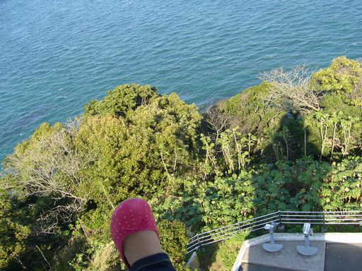 三浦海岸