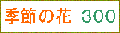 季節の花300