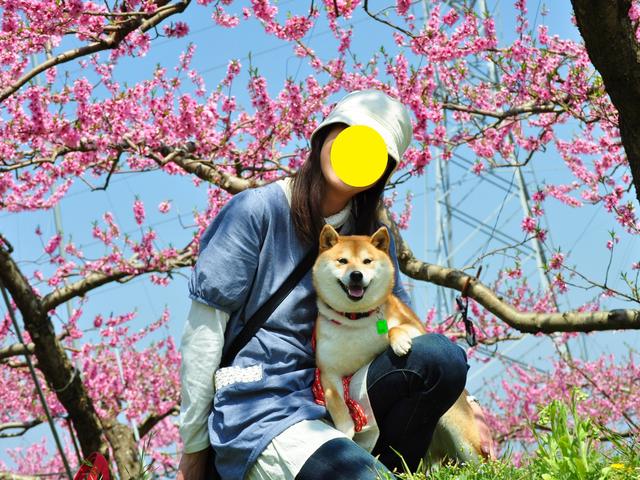 020c0d0e.jpg
