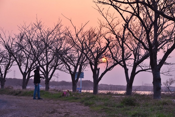 DSC_6643 (2)