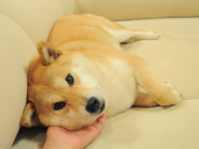 0d33a256.jpg