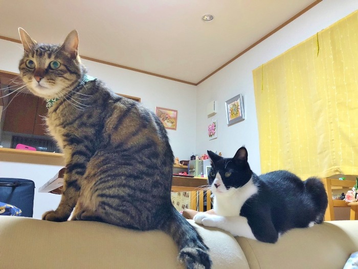 01bde875937c0f2c96367c30fe2f588332d1bc4a6f