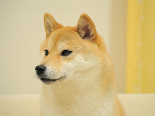 119e81d9.jpg