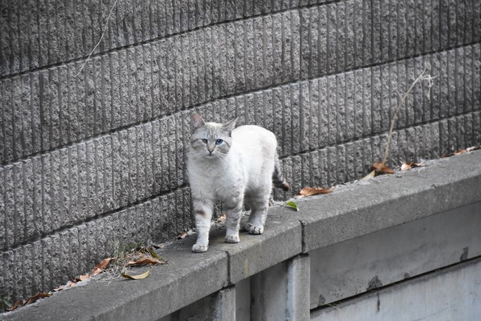 DSC_6739.jpgxx