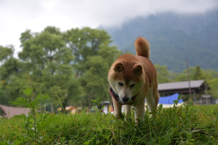 DSC_2907 (2)