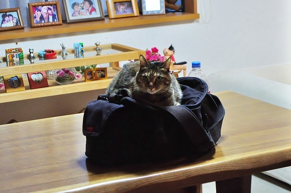 25f4697f.jpg
