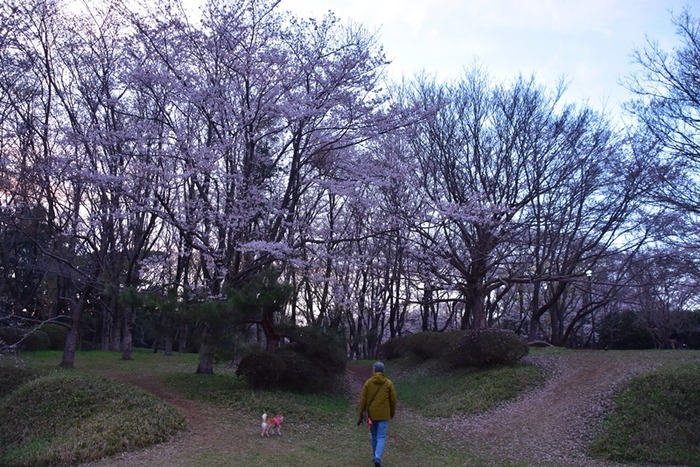 DSC_6177 (2)