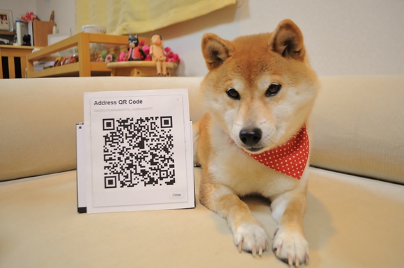 3a8942be.jpg