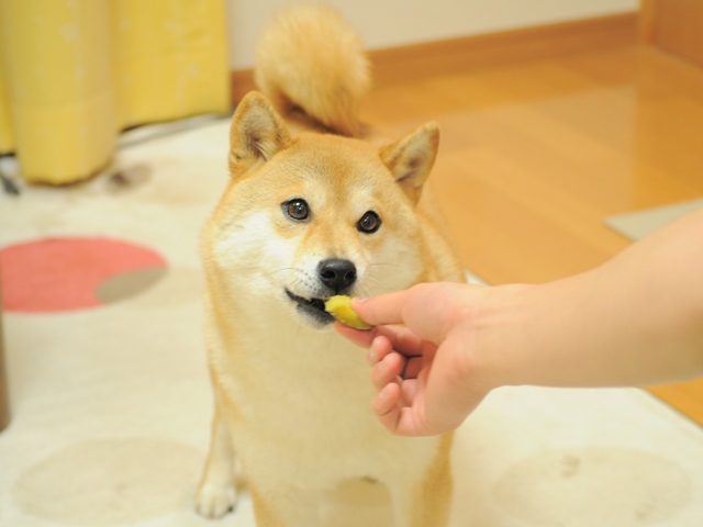 409899eb.jpg