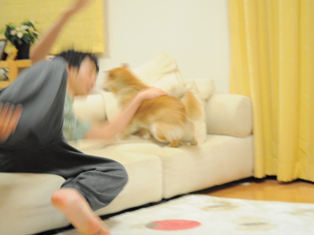 4dcc4642.jpg