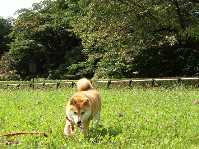 4fd3c329.jpg