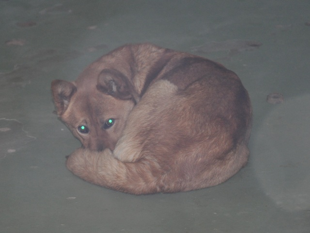 50f461b8.jpg