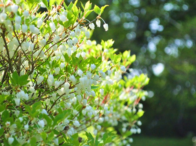 5a08f792.jpg