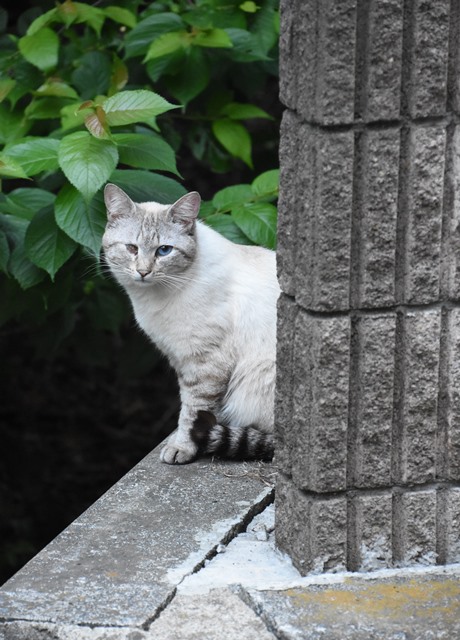 DSC_6747.jpgxx