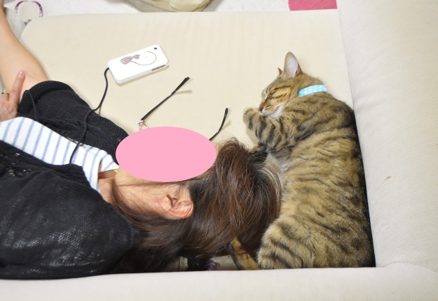 61bd84ab.jpg