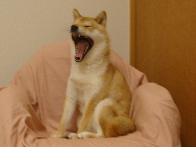 6d1f8e63.jpg
