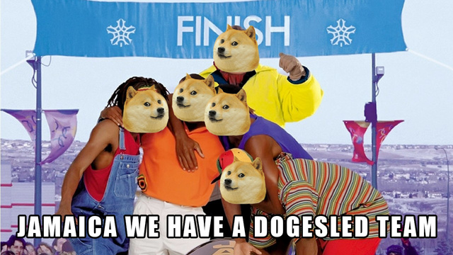 6f37b3bf.jpg