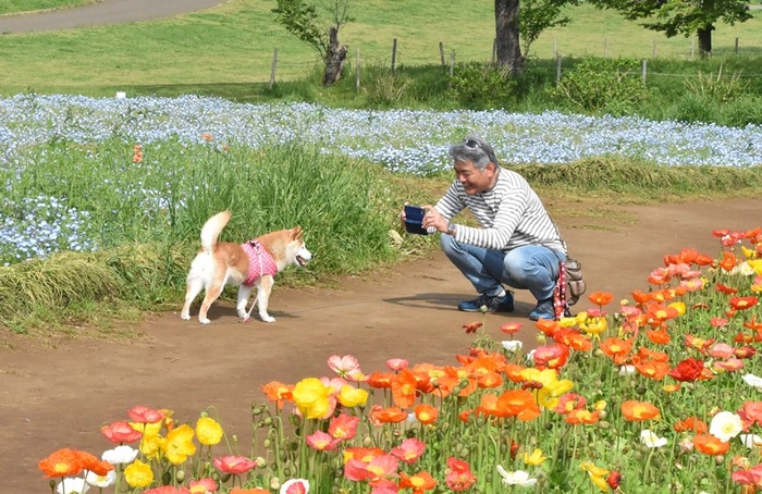 DSC_9022 (2)