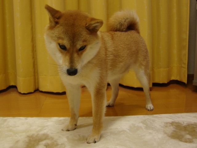 7c04bc92.jpg