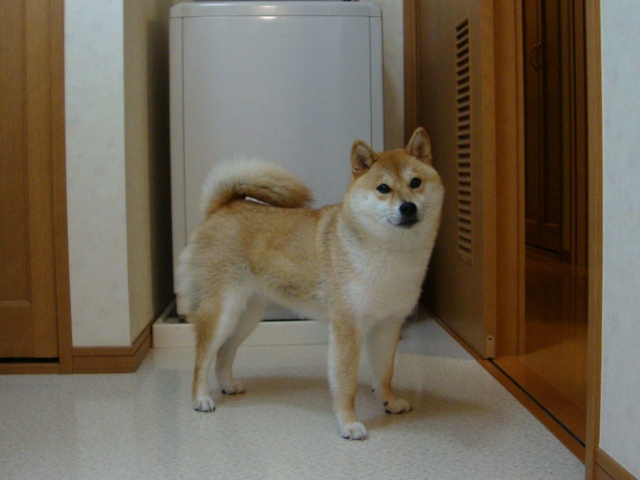 7c672400.jpg