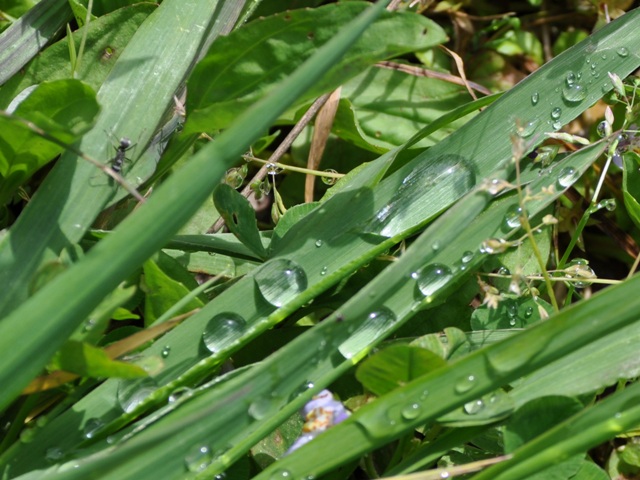 938e19b6.jpg