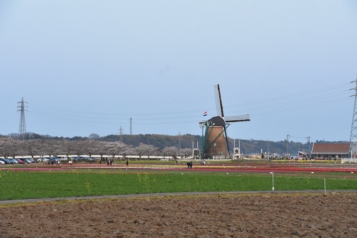 DSC_6639 (2)