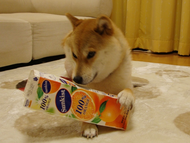 99eb6d8f.jpg