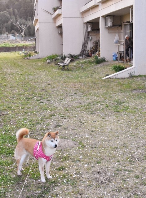 DSC_6612 (2)