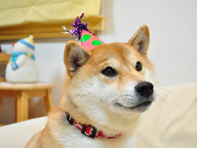 a29b2d29.jpg