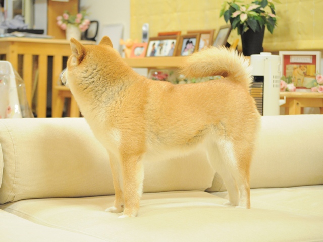 a70c7c71.jpg