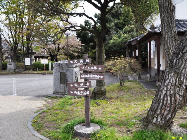 ab689a65.jpg