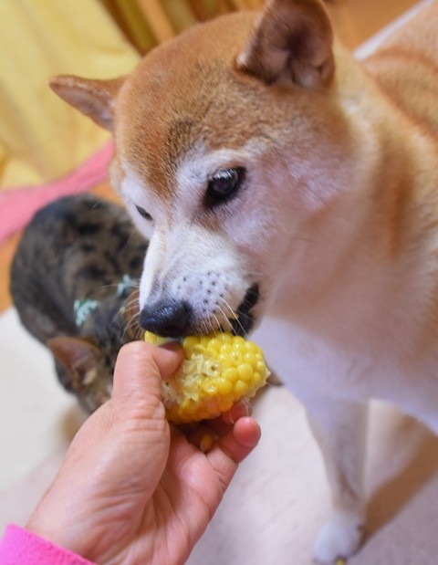 DSC_8414 (2).jpgxx