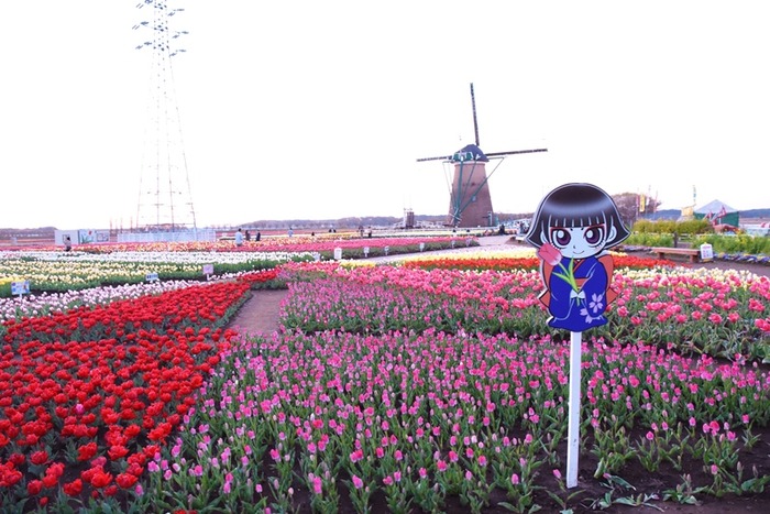 DSC_7053 (2)