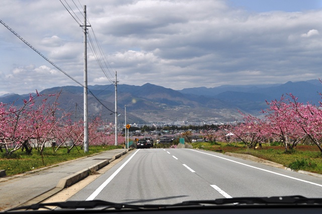 b4979d3e.jpg